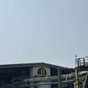 ヒメ日記 2025/08/06 07:47 投稿 小雪(こゆき) 土浦ハッピーマットパラダイス