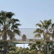 ヒメ日記 2025/08/08 07:41 投稿 小雪(こゆき) 土浦ハッピーマットパラダイス