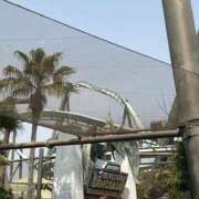 ヒメ日記 2025/08/09 07:37 投稿 小雪(こゆき) 土浦ハッピーマットパラダイス