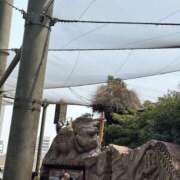 ヒメ日記 2025/08/13 07:37 投稿 小雪(こゆき) 土浦ハッピーマットパラダイス