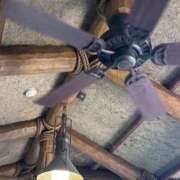 ヒメ日記 2025/08/17 07:37 投稿 小雪(こゆき) 土浦ハッピーマットパラダイス