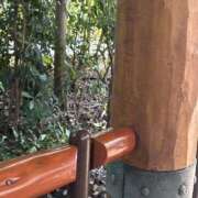 ヒメ日記 2025/08/18 07:43 投稿 小雪(こゆき) 土浦ハッピーマットパラダイス