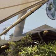 ヒメ日記 2025/08/19 07:47 投稿 小雪(こゆき) 土浦ハッピーマットパラダイス