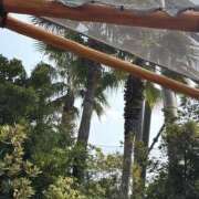 ヒメ日記 2025/08/22 07:37 投稿 小雪(こゆき) 土浦ハッピーマットパラダイス