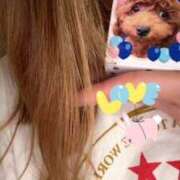 ヒメ日記 2025/08/26 16:07 投稿 小雪(こゆき) 土浦ハッピーマットパラダイス