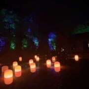 ヒメ日記 2025/09/01 22:47 投稿 小雪(こゆき) 土浦ハッピーマットパラダイス