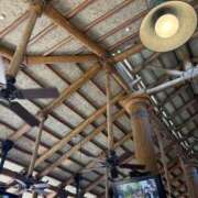 ヒメ日記 2025/09/03 07:37 投稿 小雪(こゆき) 土浦ハッピーマットパラダイス