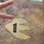 ヒメ日記 2025/09/04 07:47 投稿 小雪(こゆき) 土浦ハッピーマットパラダイス