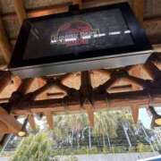 ヒメ日記 2025/09/05 07:47 投稿 小雪(こゆき) 土浦ハッピーマットパラダイス