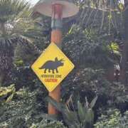 ヒメ日記 2025/09/07 07:37 投稿 小雪(こゆき) 土浦ハッピーマットパラダイス