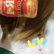 ヒメ日記 2025/09/11 08:07 投稿 小雪(こゆき) 土浦ハッピーマットパラダイス