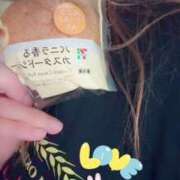 ヒメ日記 2025/09/11 12:17 投稿 小雪(こゆき) 土浦ハッピーマットパラダイス