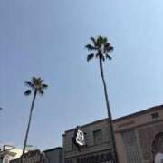 ヒメ日記 2025/09/14 07:41 投稿 小雪(こゆき) 土浦ハッピーマットパラダイス