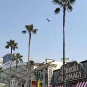 ヒメ日記 2025/09/15 07:37 投稿 小雪(こゆき) 土浦ハッピーマットパラダイス