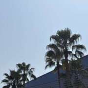 ヒメ日記 2025/09/16 07:37 投稿 小雪(こゆき) 土浦ハッピーマットパラダイス