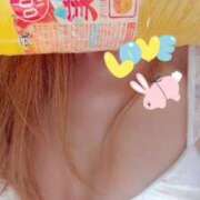 ヒメ日記 2025/09/18 08:27 投稿 小雪(こゆき) 土浦ハッピーマットパラダイス