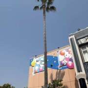 ヒメ日記 2025/09/19 07:37 投稿 小雪(こゆき) 土浦ハッピーマットパラダイス