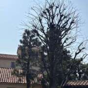 ヒメ日記 2025/09/23 07:44 投稿 小雪(こゆき) 土浦ハッピーマットパラダイス