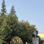 ヒメ日記 2025/09/24 07:47 投稿 小雪(こゆき) 土浦ハッピーマットパラダイス