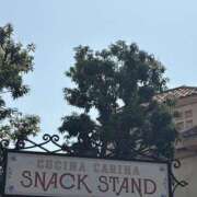 ヒメ日記 2025/09/25 07:37 投稿 小雪(こゆき) 土浦ハッピーマットパラダイス