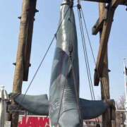 ヒメ日記 2025/10/07 07:37 投稿 小雪(こゆき) 土浦ハッピーマットパラダイス