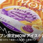 ヒメ日記 2025/10/28 22:27 投稿 小雪(こゆき) 土浦ハッピーマットパラダイス