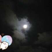 ヒメ日記 2025/11/02 21:07 投稿 小雪(こゆき) 土浦ハッピーマットパラダイス