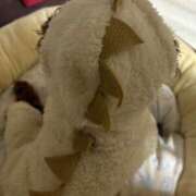 ヒメ日記 2025/11/04 20:27 投稿 小雪(こゆき) 土浦ハッピーマットパラダイス