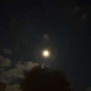 ヒメ日記 2025/11/06 21:25 投稿 小雪(こゆき) 土浦ハッピーマットパラダイス