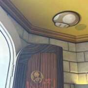 ヒメ日記 2025/11/08 07:47 投稿 小雪(こゆき) 土浦ハッピーマットパラダイス