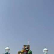 ヒメ日記 2025/11/10 07:47 投稿 小雪(こゆき) 土浦ハッピーマットパラダイス