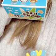 ヒメ日記 2025/11/11 18:27 投稿 小雪(こゆき) 土浦ハッピーマットパラダイス