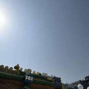 ヒメ日記 2025/11/17 07:37 投稿 小雪(こゆき) 土浦ハッピーマットパラダイス