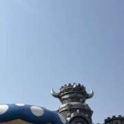 ヒメ日記 2025/11/22 07:47 投稿 小雪(こゆき) 土浦ハッピーマットパラダイス