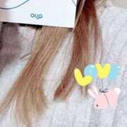 ヒメ日記 2025/11/28 09:07 投稿 小雪(こゆき) 土浦ハッピーマットパラダイス