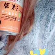 ヒメ日記 2025/11/28 21:27 投稿 小雪(こゆき) 土浦ハッピーマットパラダイス