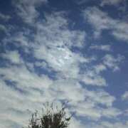 ヒメ日記 2025/11/28 22:07 投稿 小雪(こゆき) 土浦ハッピーマットパラダイス