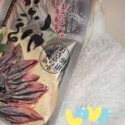 ヒメ日記 2025/11/30 11:27 投稿 小雪(こゆき) 土浦ハッピーマットパラダイス