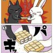 小雪(こゆき) 争奪戦 土浦ハッピーマットパラダイス