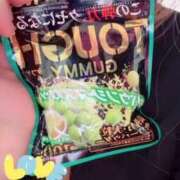 ヒメ日記 2025/12/11 08:17 投稿 小雪(こゆき) 土浦ハッピーマットパラダイス