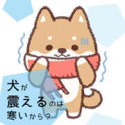 ヒメ日記 2025/12/15 22:27 投稿 小雪(こゆき) 土浦ハッピーマットパラダイス