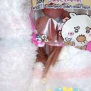 ヒメ日記 2025/12/17 07:07 投稿 小雪(こゆき) 土浦ハッピーマットパラダイス