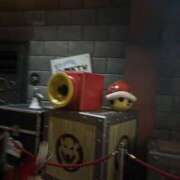 ヒメ日記 2025/12/23 07:37 投稿 小雪(こゆき) 土浦ハッピーマットパラダイス