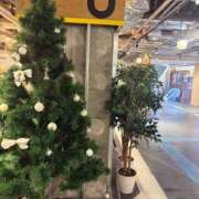 ヒメ日記 2025/12/24 07:37 投稿 小雪(こゆき) 土浦ハッピーマットパラダイス