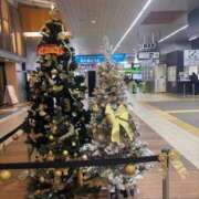 ヒメ日記 2025/12/25 07:37 投稿 小雪(こゆき) 土浦ハッピーマットパラダイス