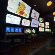 ヒメ日記 2025/12/26 07:47 投稿 小雪(こゆき) 土浦ハッピーマットパラダイス