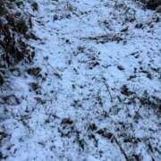 ヒメ日記 2026/01/03 07:40 投稿 小雪(こゆき) 土浦ハッピーマットパラダイス