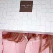 ヒメ日記 2026/01/08 08:27 投稿 小雪(こゆき) 土浦ハッピーマットパラダイス