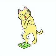 ヒメ日記 2026/01/09 22:17 投稿 小雪(こゆき) 土浦ハッピーマットパラダイス