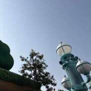 ヒメ日記 2026/01/15 07:47 投稿 小雪(こゆき) 土浦ハッピーマットパラダイス